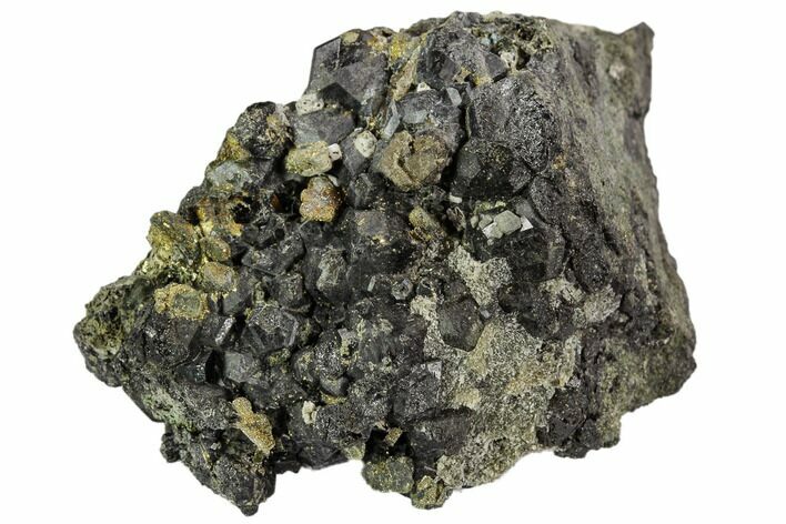 Black Andradite (Melanite) Garnet Cluster - Morocco #107904
